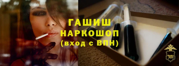 трава Коряжма
