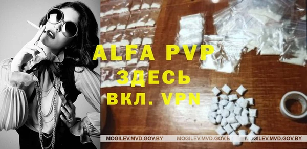 стаф Абинск