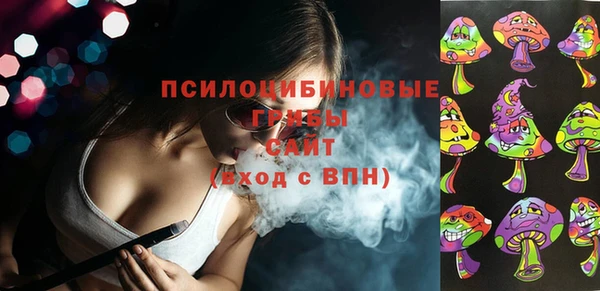 стаф Абинск