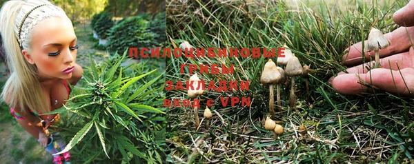 дживик Алзамай