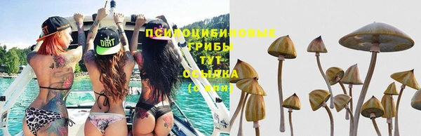 кокаин премиум Абаза