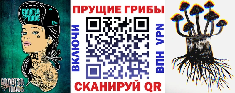 Псилоцибиновые грибы ЛСД  как найти   Холм 