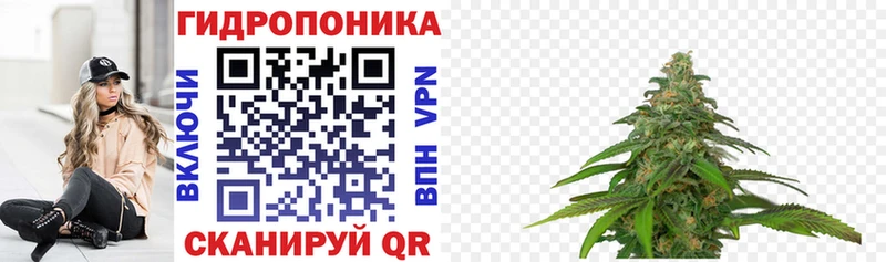 Бошки Шишки LSD WEED  где можно купить   Холм 